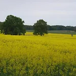 Im Skandinavischen Stil