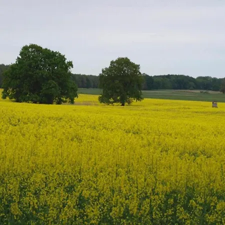 Im Skandinavischen Stil