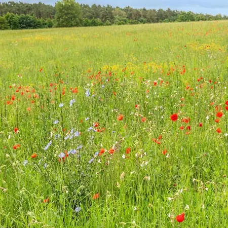 Дом отдыха Im Skandinavischen Stil